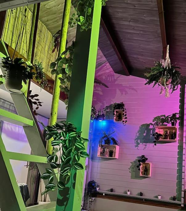 Jungle Style Lodge With Jacuzzi ,Sauna And Garden Near Amsterdam Vijfhuizen Екстер'єр фото